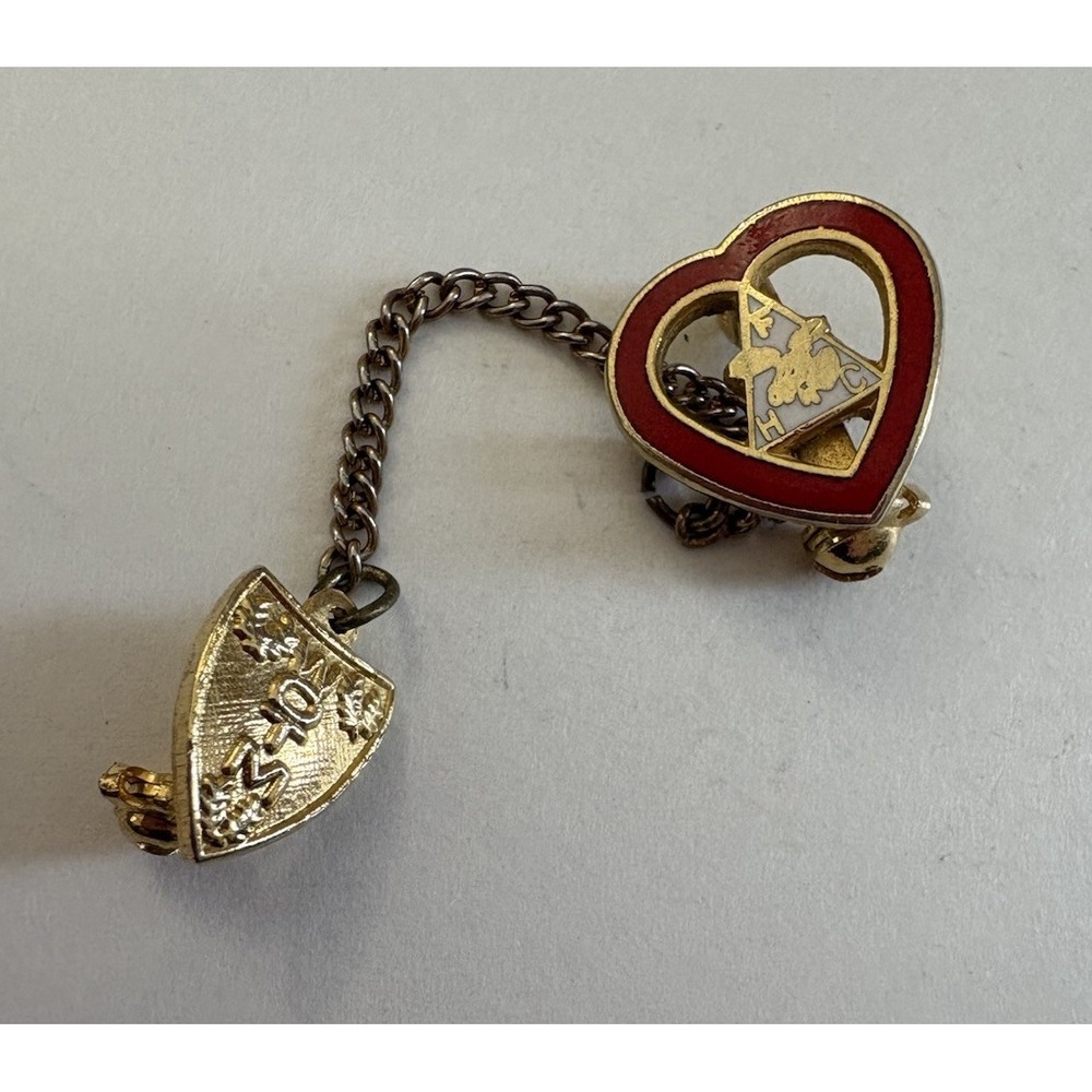 Vintage Women of the Moose WOTM Heart Lapel Pin & Shield Chain Brooch Gold Red